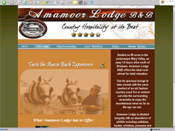 view website