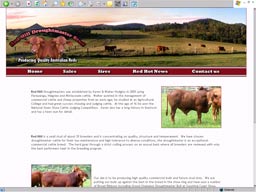 view website