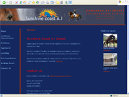 view website