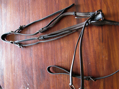 Collegiate martingale for sale