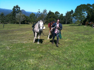 Tablelands lookout Cooran