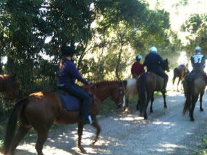 Noosa trails