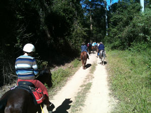 Noosa Trails