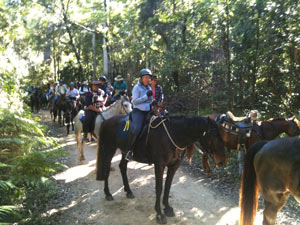 Woondum National Park Noosa trails