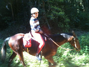 Trail riding