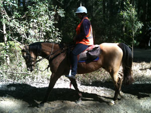 Woondum National Park - Kin Kin ride