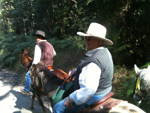 Kin KIn ride's oldest rider Ken at 82 years.