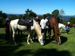 trail riding Noosa trails