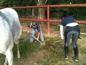 Val and Sharon at work