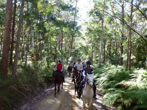 Sharon Janet and Gary in Woondum National Park on the Kin Kin ride