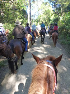 Many riders on the Kin Kin ride 2012