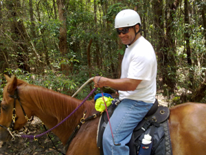 Horse being ridden