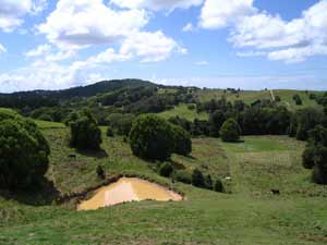 view of one of our main paddocks